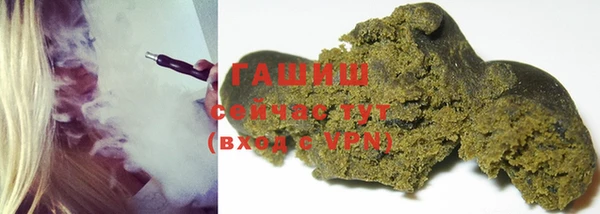 индика Алзамай
