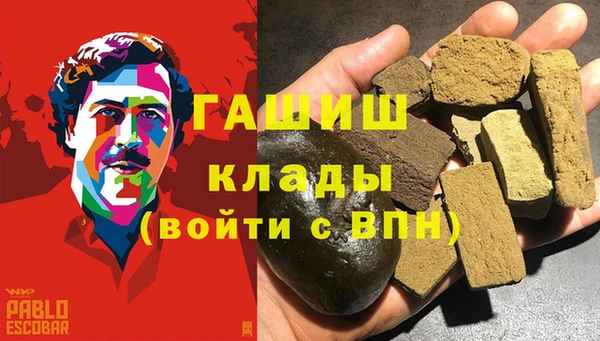 индика Алзамай
