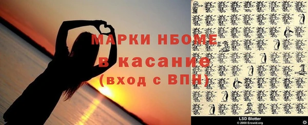 соль ск Кулебаки
