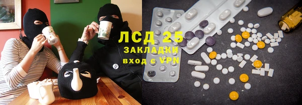 индика Алзамай